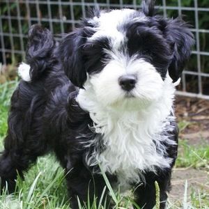 Meet your Posher, Jillian